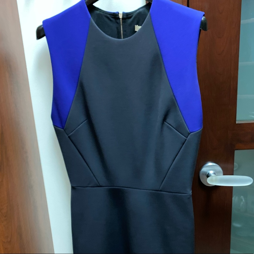 Victoria Beckham Dress